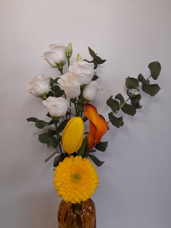 Oranger – Image 2