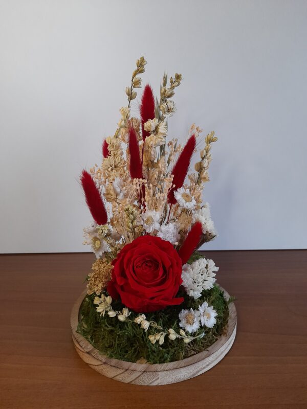 Cloche séchées – Image 3