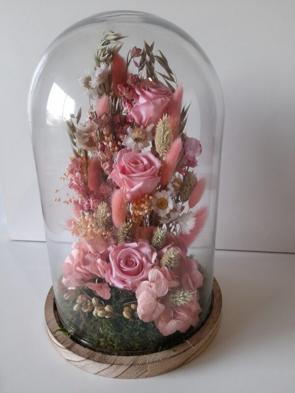 Cloche séchées – Image 2